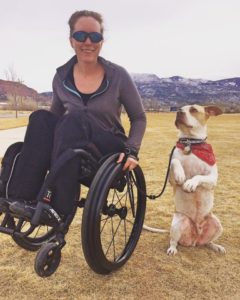 Cash standing on his hind feet while Nerissa does a wheelie